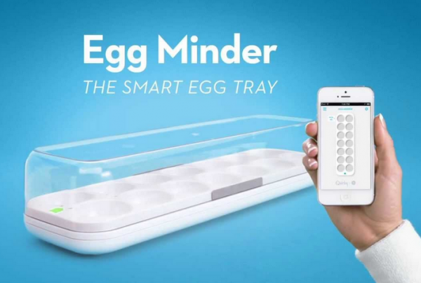 Egg minder by GE and Quirky